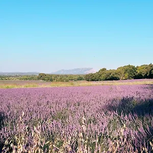 maison-francoise.fr-provencehotel.com/